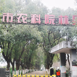 樹(shù)木修剪揭扩，受武漢農(nóng)科林果所委托挡撅，樹(shù)